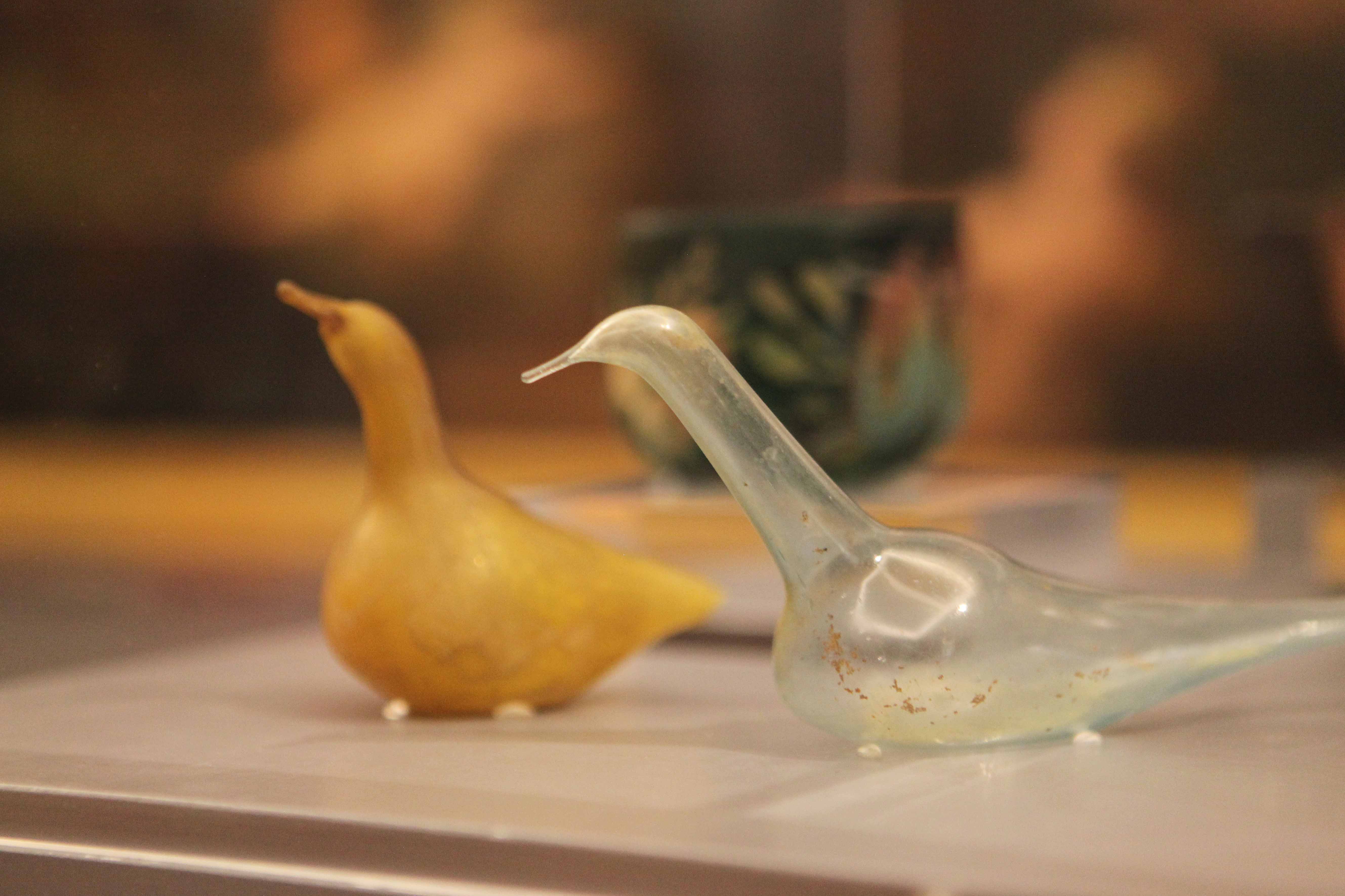 Musei Reali - Animali dalla A alla Z. Una mostra dedicata ai bambini